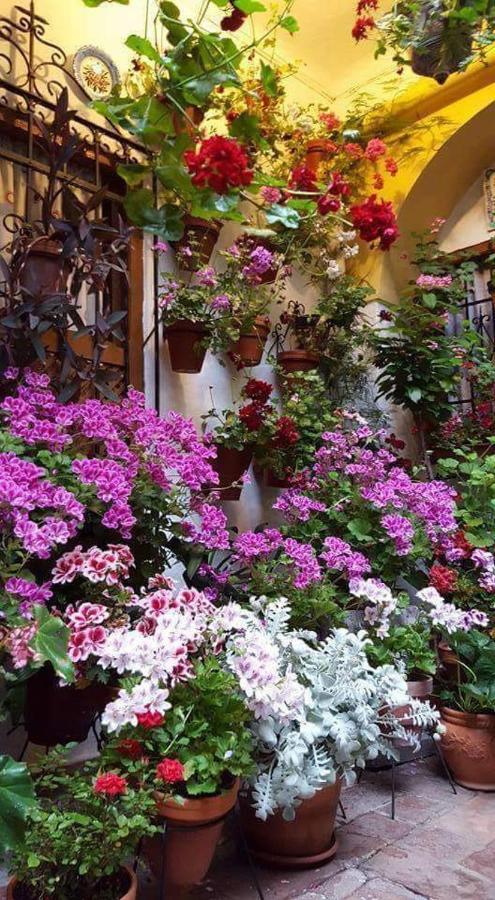 Centro Cordoba Apartment Стая снимка